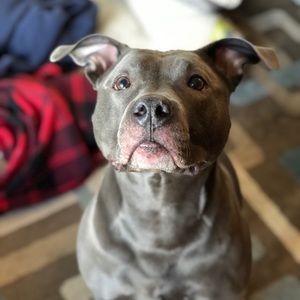 Meet your Posher, Jon